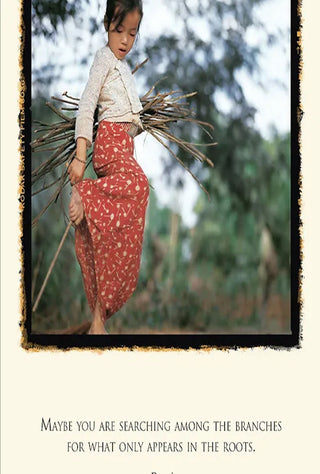 Mikado Greeting Card - Photograph from Xishuangbanna, China by renowned photographer Emerson Matabele.