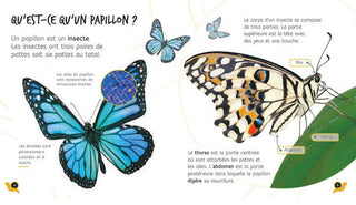 De la chenille au papillon - Sample page about butterfiles