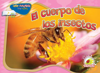 A Kindergarten - El Cuerpo De Los Insectos (Insect's Body) | Foreign Language and ESL Books and Games