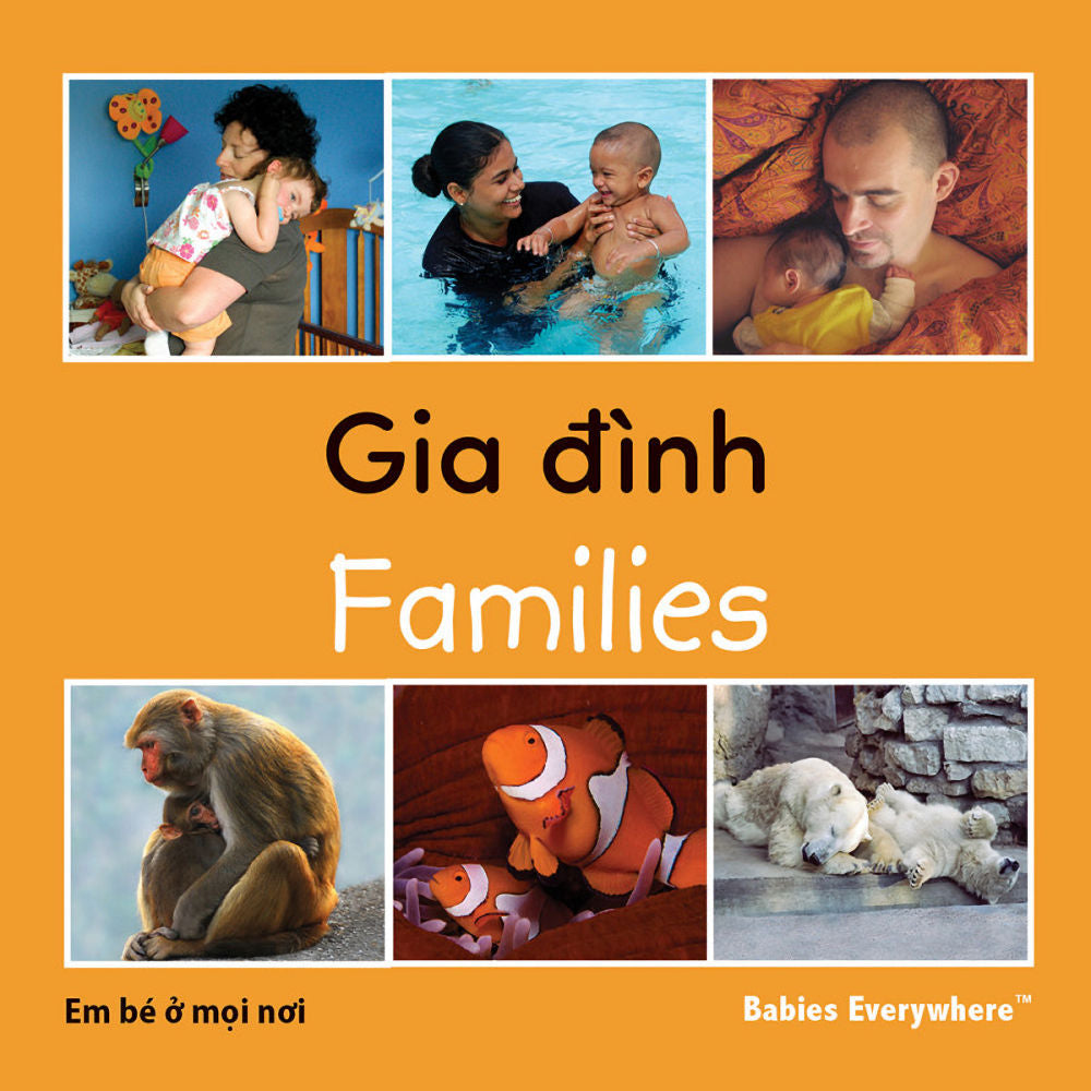 Families - Gia dinh - Bilingual Vietnamese edition - Babies Everywhere