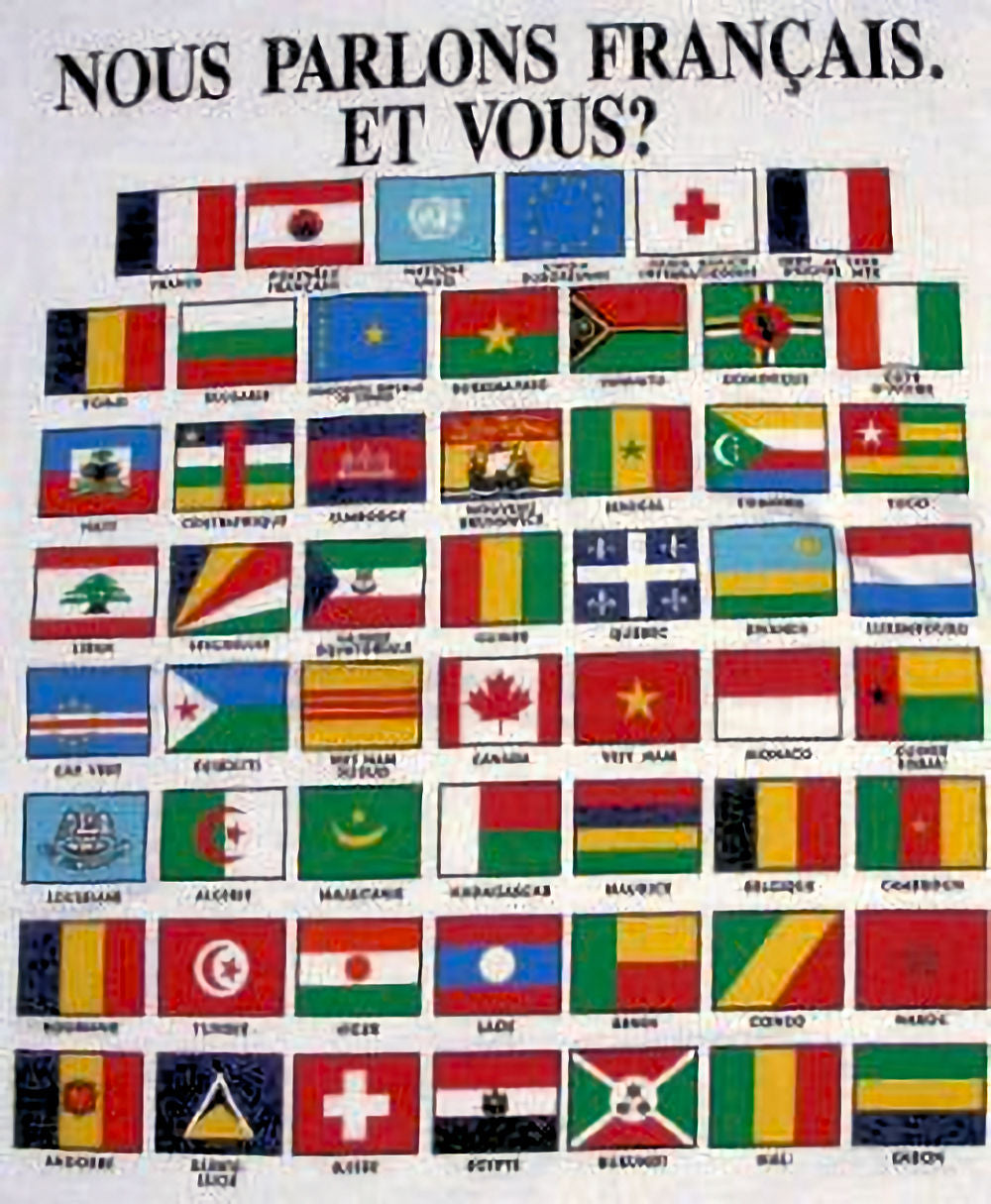 Nous parlons français, et vous? Underneath the question are the flags and names of French speaking countries - adult size tshirt.