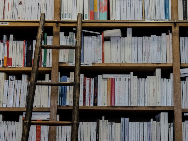 Wooden ladder propped against shelves of books