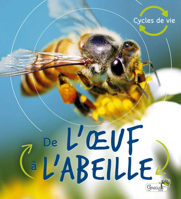 De l'oeuf à l'abeille - de Camilla de la Bédoyère et traducteur Vincent Coigny. Dès 4 ans. Un bel album photo pour découvrir de manière ludique les différentes étapes de la vie d'une abeille.