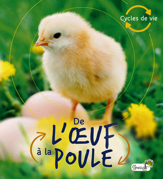 Cycles de vie - De l'oeuf à la poule