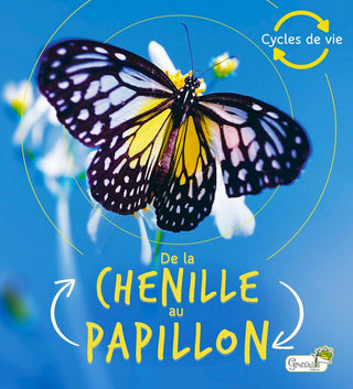 De la chenille au papillon - de Camilla de la Bédoyère et traducteur Vincent Coigny. Des 4 ans.