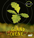 Cycles de vie - Du gland au chêne de Camilla de la Bédoyère et traducteur Vincent Coigny. Des 4 ans. Qu'est-ce qu'un chaton? 