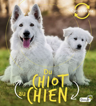 Du chiot au chien - Dès 4 ans de Camilla de la Bédoyère et traducteur Vincent Coigny  • Un bel album photo pour découvrir de manière ludique les différentes étapes de la vie d’un chien.