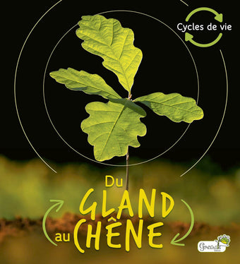 Cycles de vie - Du gland au chêne