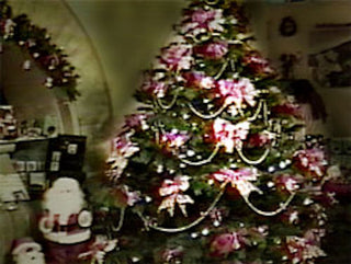 La Navidad en Mexico DVD | Foreign Language DVDs