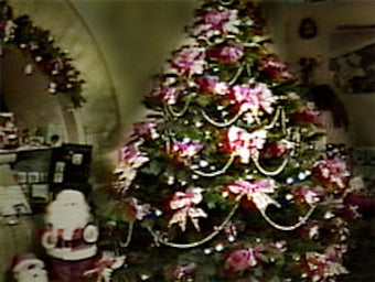 La Navidad en Mexico DVD