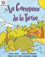 La Carapace de la Tortue