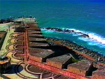 Los Puertorriqueños DVD