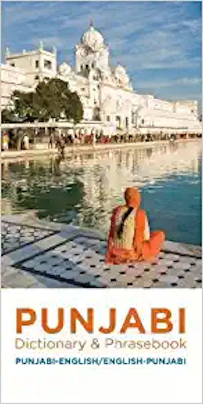 Punjabi-English/English-Punjabi Dictionary & Phrasebook | Foreign Language and ESL Books and Games