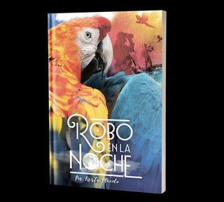 Robo en la Noche by Kristy Placido.  Culture-based Fiction | Level 2 | Present and Past Tense - Novice Mid - Intermediate Low.
