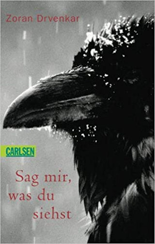 Sag mir, was du siehst | Foreign Language and ESL Books and Games