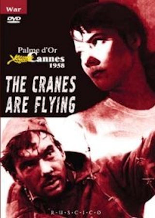 Letyat zhuravli (The Cranes are Flying) DVD | Foreign Language DVDs