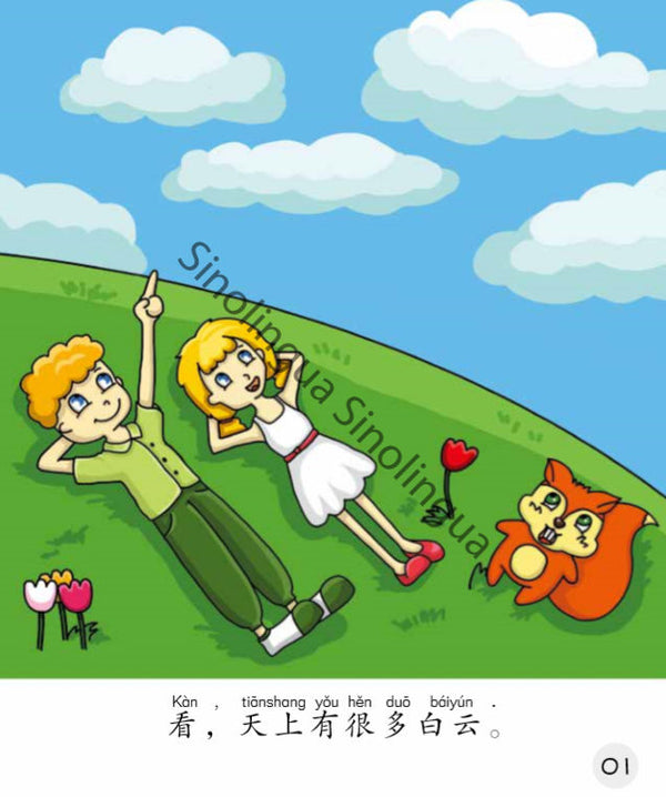 Sinolingua Reading Tree Level 5 #2 - What does it look like? | Foreign Language and ESL Books and Games
