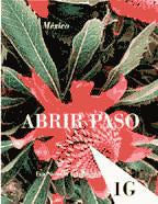 Abrir Paso 1G - Mexico | Foreign Language and ESL Books and Games