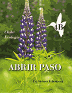 Abrir Paso 4B - Chile