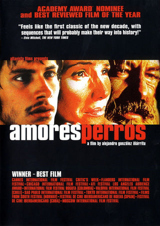 Amores Perros DVD | Foreign Language DVDs