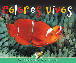C Level Guided Reading - Colores vivos | Foreign Language and ESL Books and Games