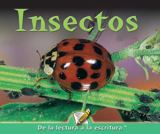 C Level Guided Reading - Insectos | Foreign Language and ESL Books and Games