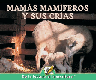 D Level Guided Reading - Mamás mamíferos y sus crías | Foreign Language and ESL Books and Games