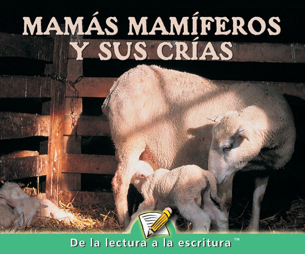 D Level Guided Reading - Mamás mamíferos y sus crías | Foreign Language and ESL Books and Games