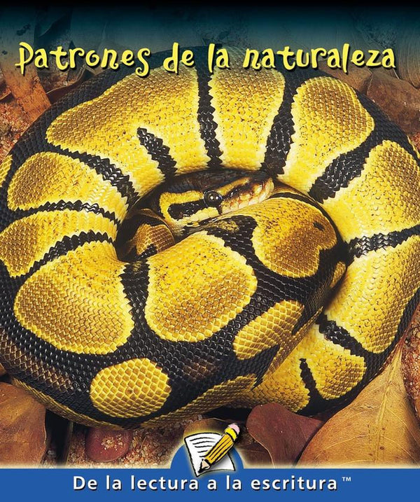 H Level Guided Reading - Patrones de la naturaleza | Foreign Language and ESL Books and Games
