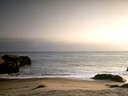 Vamos a la Playa DVD