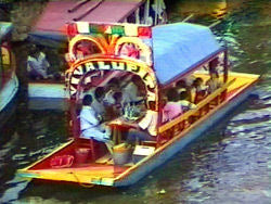 Xochimilco: Floating Gardens