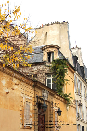 Yellow French Building Poster